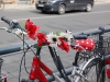 Bike flowers